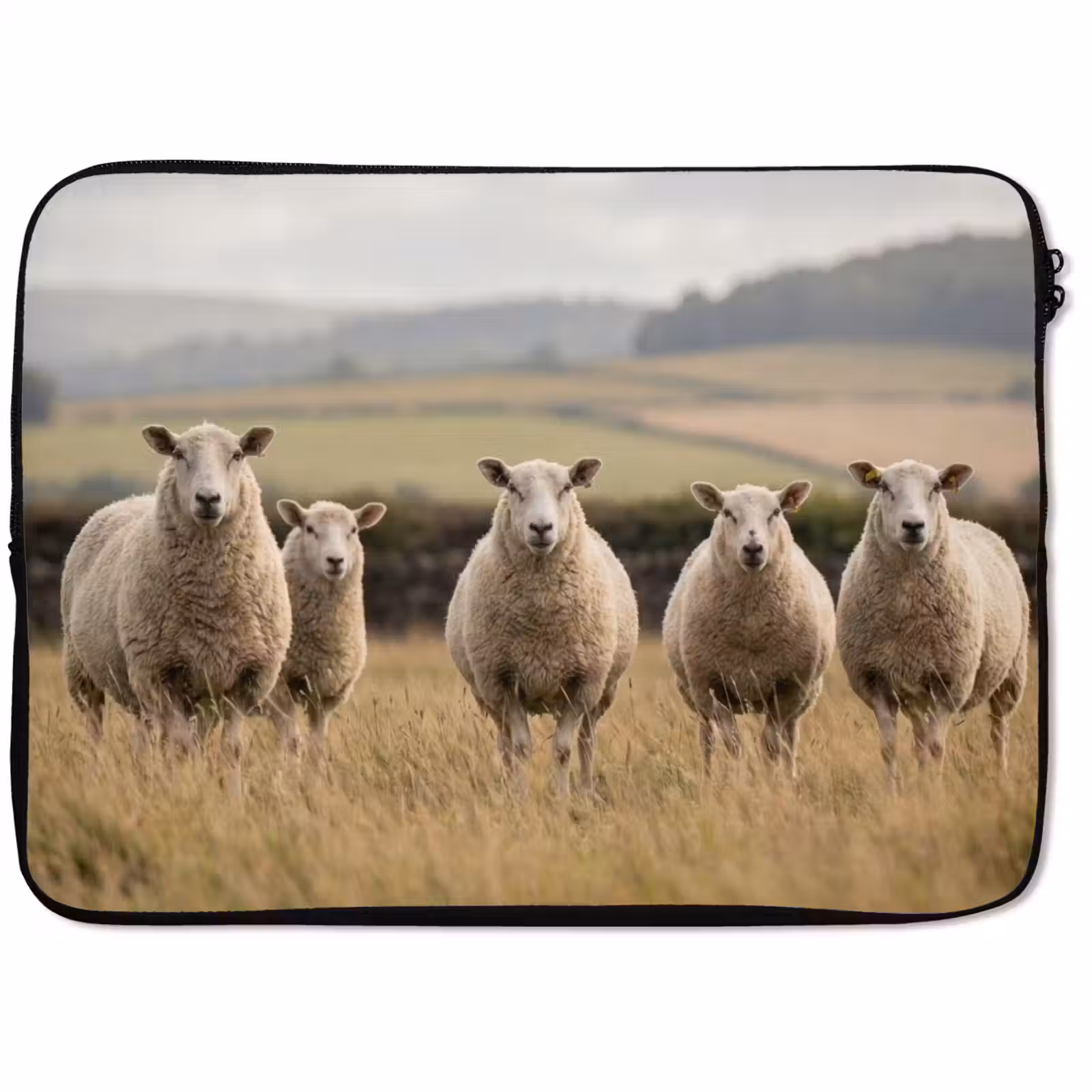 Laptophoes - Schapen - Weidenlandschap - Heuvels — 1