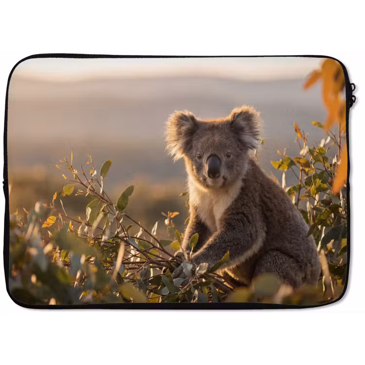 Laptophoes - Koala - Bladeren - Ochtendlicht — 1