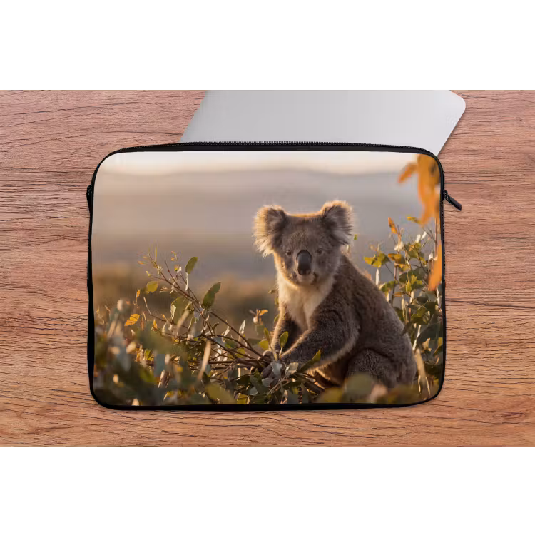Laptophoes - Koala - Bladeren - Ochtendlicht — 2