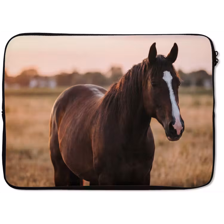 Laptophoes - Paard - Zonsondergang - Bruin — 1