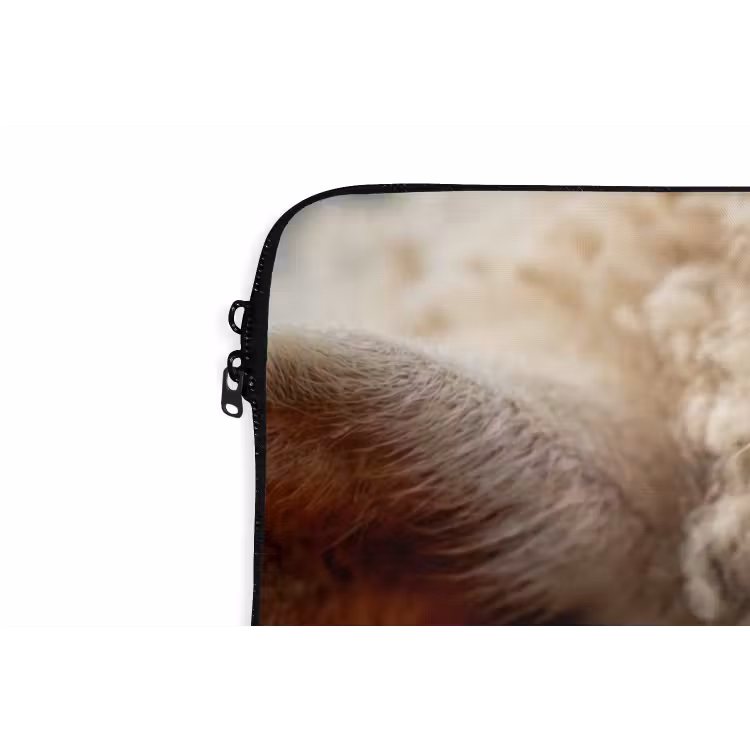 Laptophoes - Schaap - Oog - Wit — 6