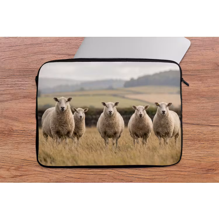 Laptophoes - Schapen - Weidenlandschap - Heuvels — 2