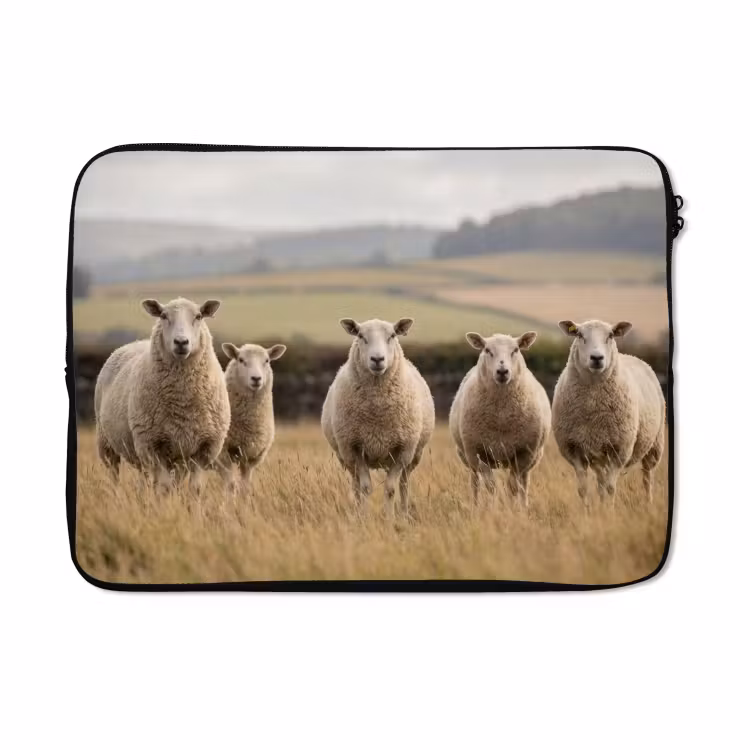 Laptophoes - Schapen - Weidenlandschap - Heuvels — 5