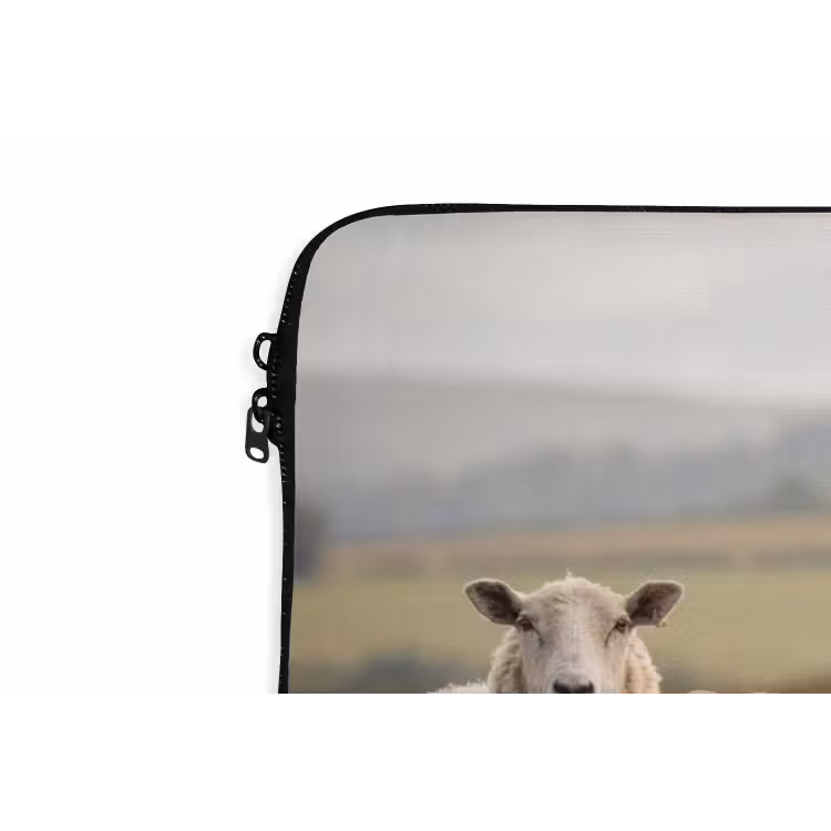 Laptophoes - Schapen - Weidenlandschap - Heuvels — 6