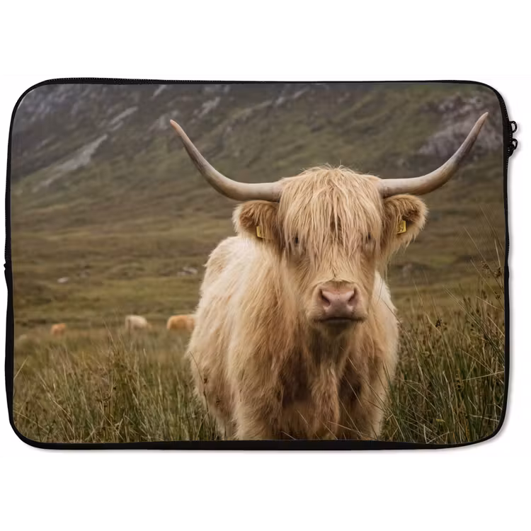 Laptophoes - Schotse hooglander - Bergen - Grasveld — 1