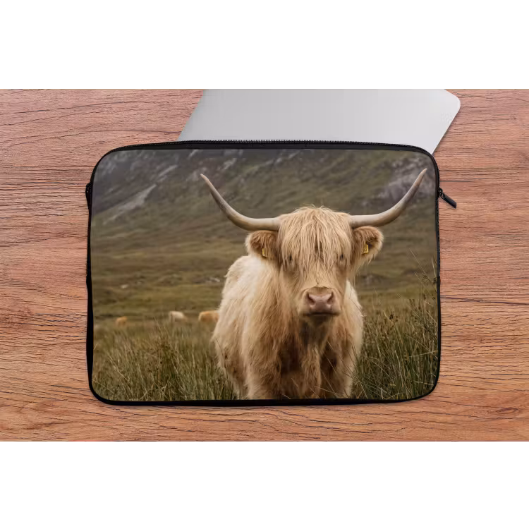 Laptophoes - Schotse hooglander - Bergen - Grasveld — 2