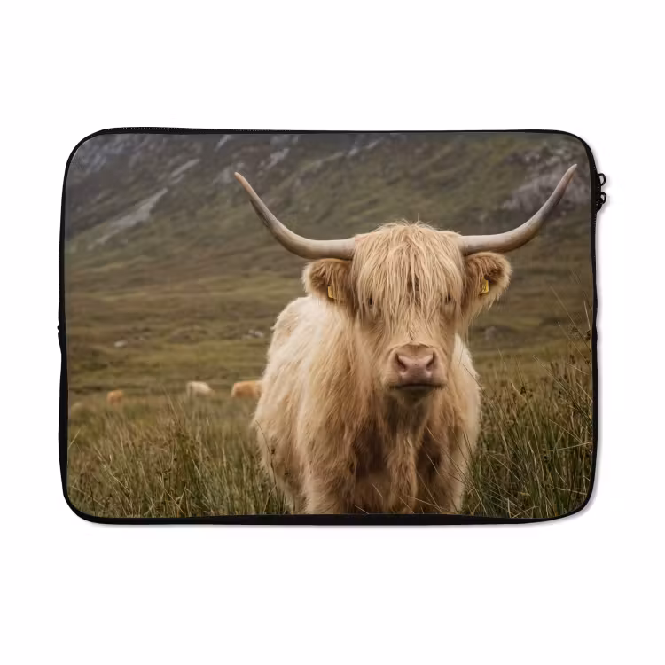 Laptophoes - Schotse hooglander - Bergen - Grasveld — 5