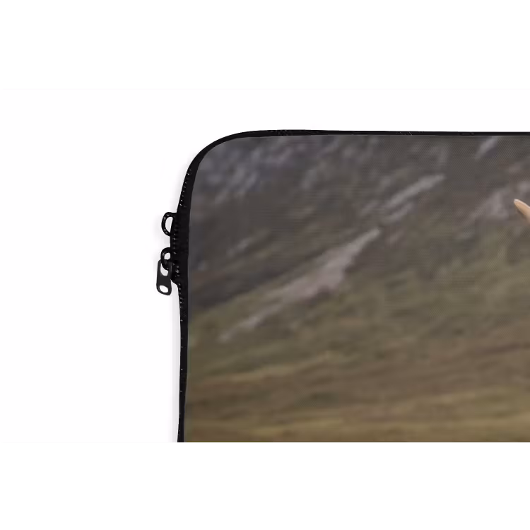 Laptophoes - Schotse hooglander - Bergen - Grasveld — 6