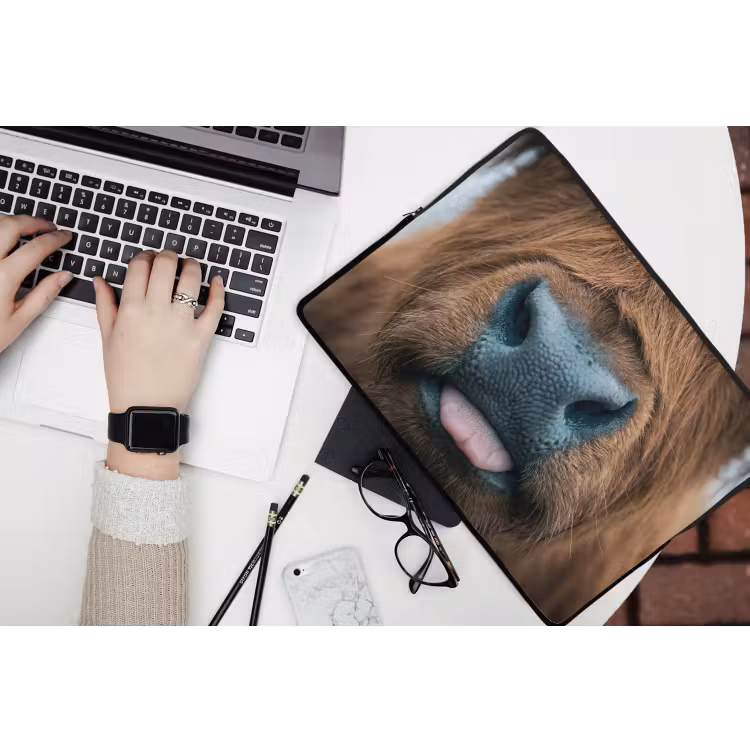 Laptophoes - Schotse hooglander - Neus - Bruin — 3