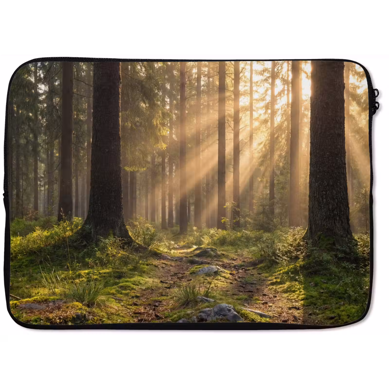 Laptophoes - Bos - Zonlicht - Gras — 1