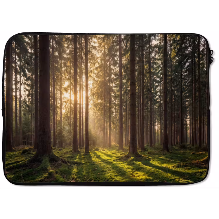 Laptophoes - Bos - Gras - Zonlicht — 1