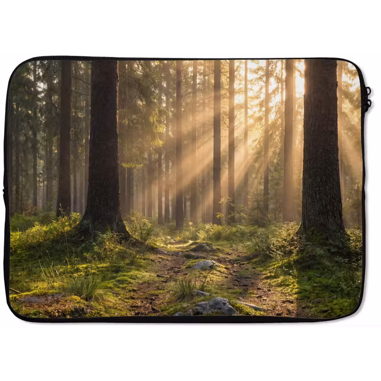 Laptophoes - Bos - Zonlicht - Gras — 1
