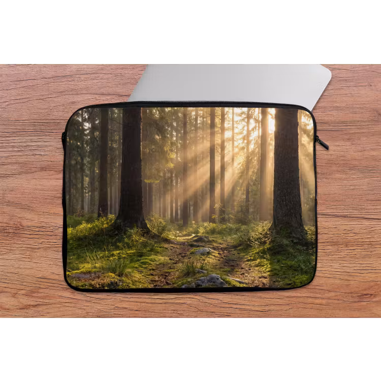 Laptophoes - Bos - Zonlicht - Gras — 2