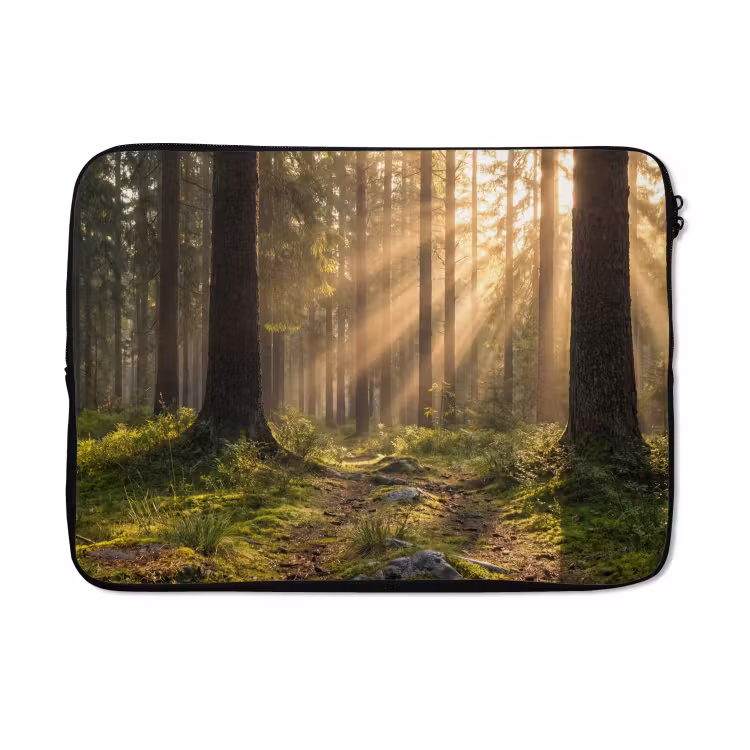 Laptophoes - Bos - Zonlicht - Gras — 5