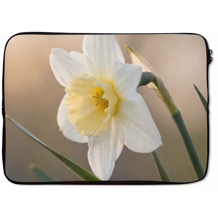 Laptophoes - Narcis - Bloem - Minimalistisch — 1