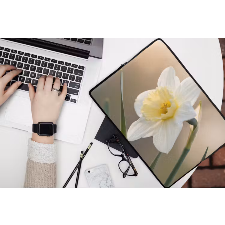 Laptophoes - Narcis - Bloem - Minimalistisch — 3