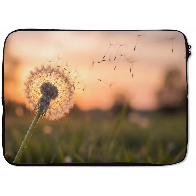 Laptophoes - Paardenbloem - Zonsondergang - Veld — 1