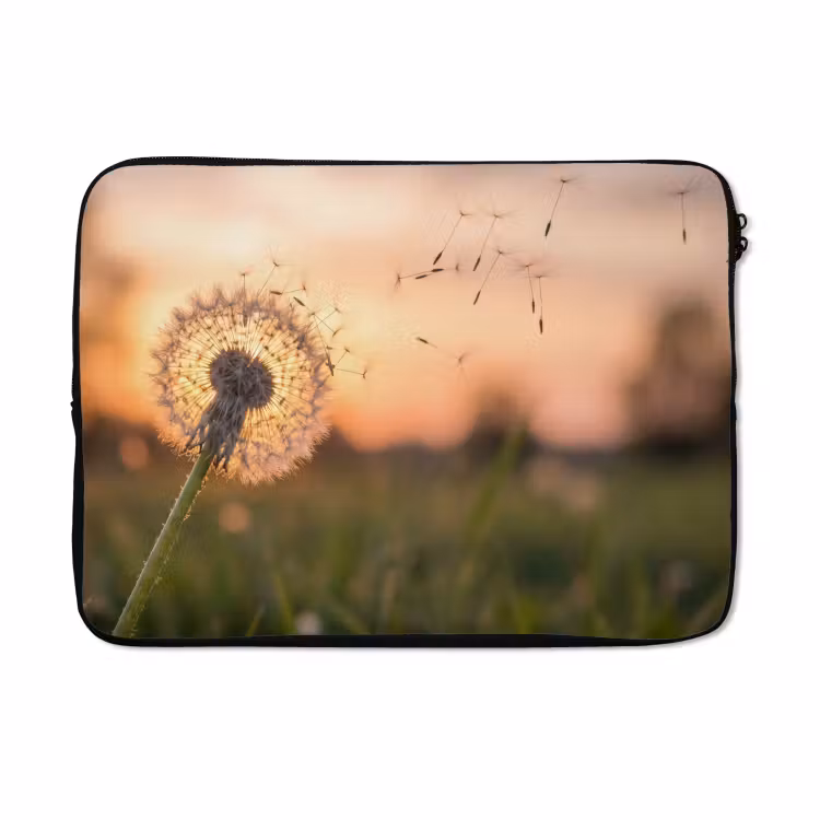 Laptophoes - Paardenbloem - Zonsondergang - Veld — 5