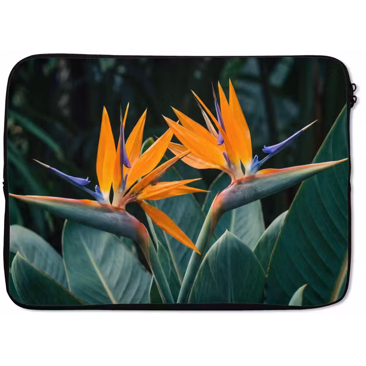 Laptophoes - Paradijsvogel - Bloem - Exotisch — 1