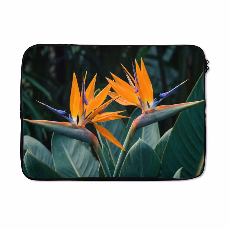 Laptophoes - Paradijsvogel - Bloem - Exotisch — 5