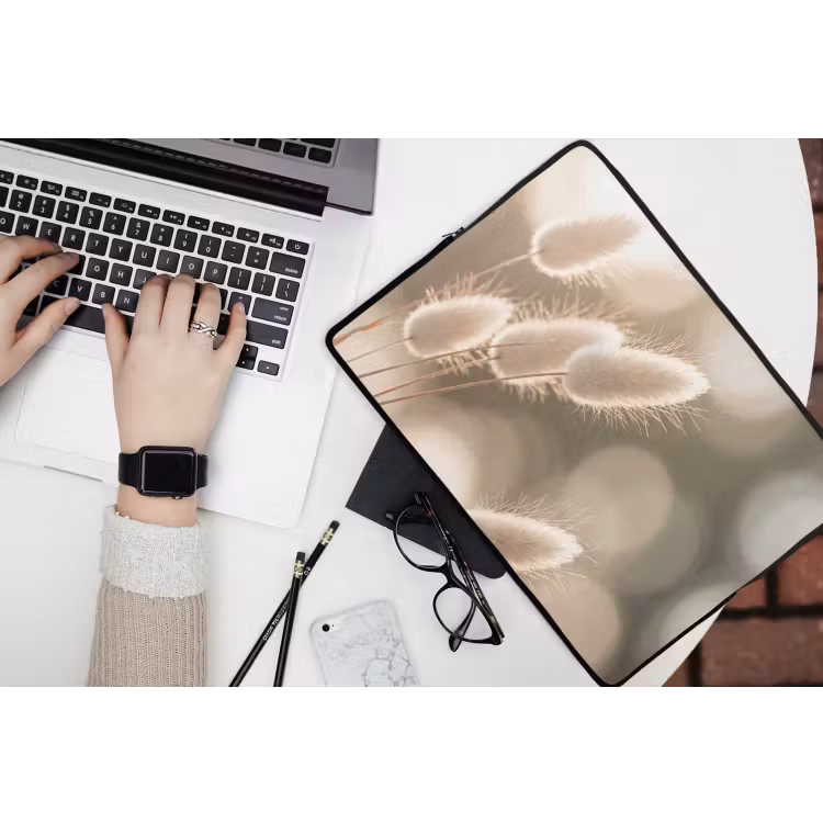 Laptophoes - Hazestaartgras - Wit - Zonlicht — 3