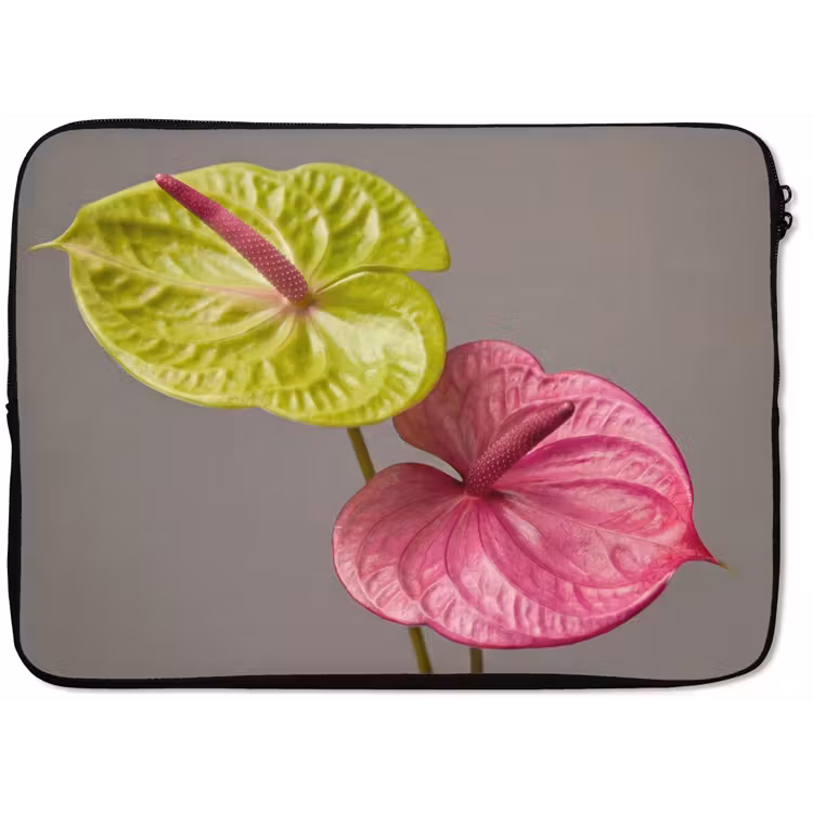Laptophoes - Planten - Anthurium - Groen - Roze — 1