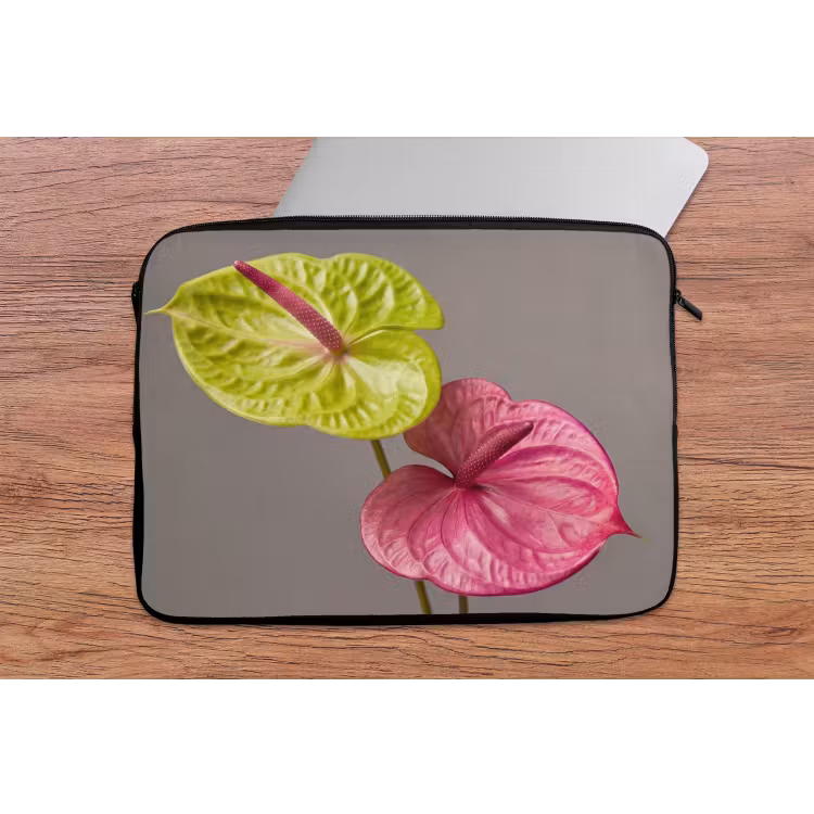 Laptophoes - Planten - Anthurium - Groen - Roze — 2