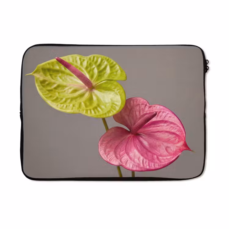 Laptophoes - Planten - Anthurium - Groen - Roze — 5