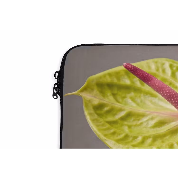 Laptophoes - Planten - Anthurium - Groen - Roze — 6