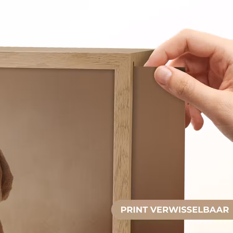 Lightbox - Wandlamp - Bad - Hond - Boek - Zonnebril — 5