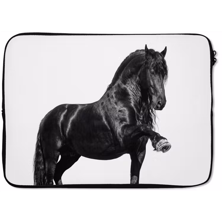 Laptophoes - Fries - Hengst - Modern — 1