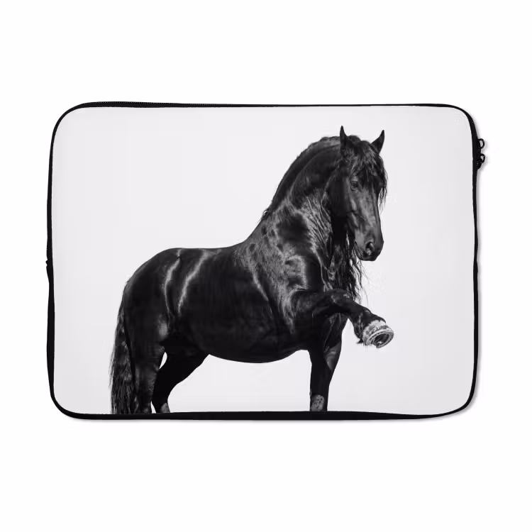 Laptophoes - Fries - Hengst - Modern — 5
