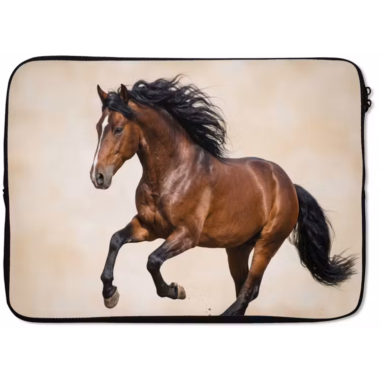 Laptophoes - Paard - Galop - Energie — 1