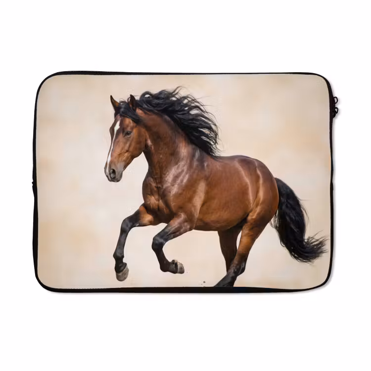 Laptophoes - Paard - Galop - Energie — 5