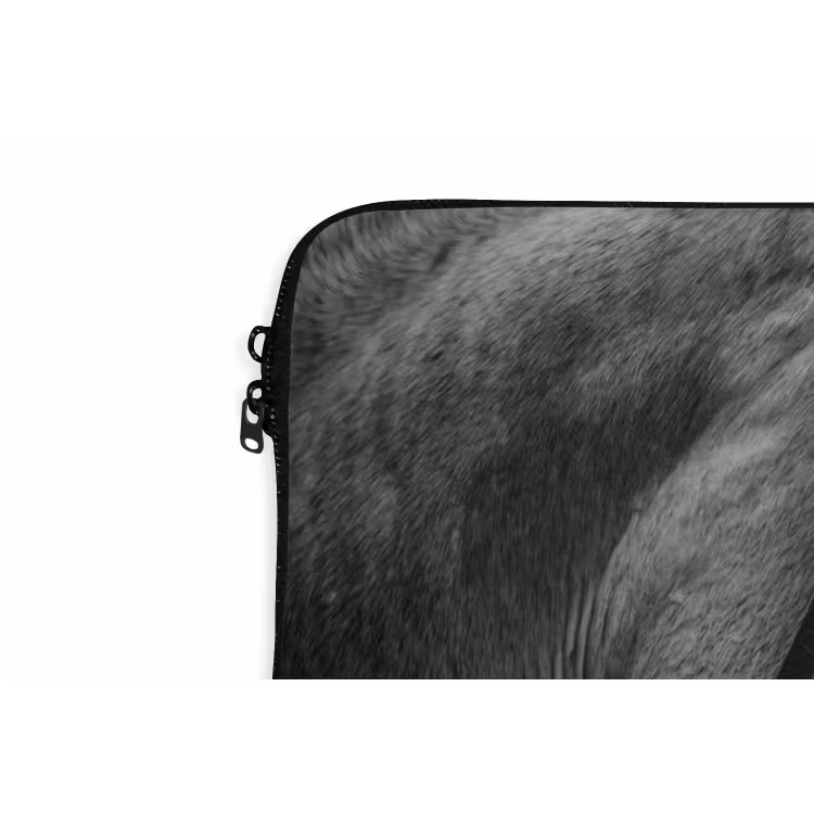 Laptophoes - Paard - Schimmel - Portret — 6