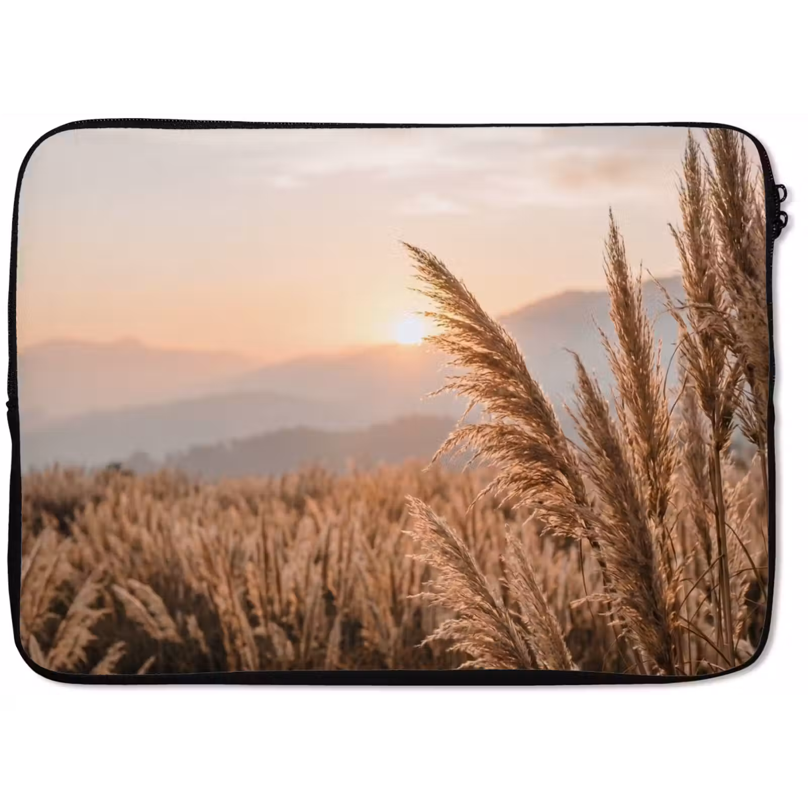 Laptophoes - Gras - Veld - Zon - Natuur — 1