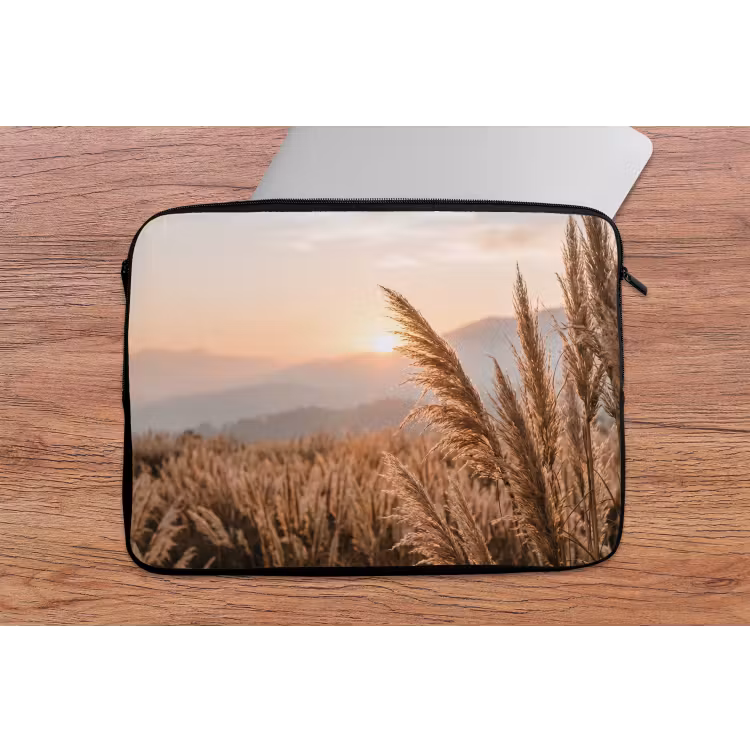 Laptophoes - Gras - Veld - Zon - Natuur — 2