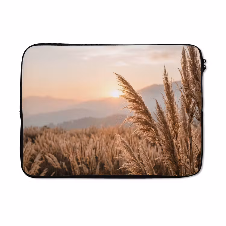 Laptophoes - Gras - Veld - Zon - Natuur — 5