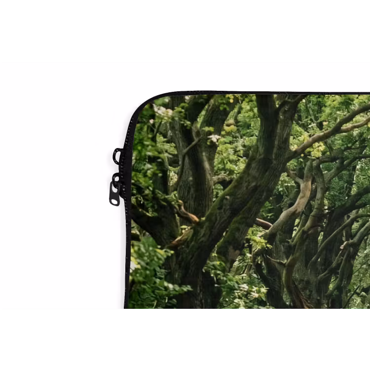 Laptophoes - Weg - Bomen - Natuur - Groen — 6