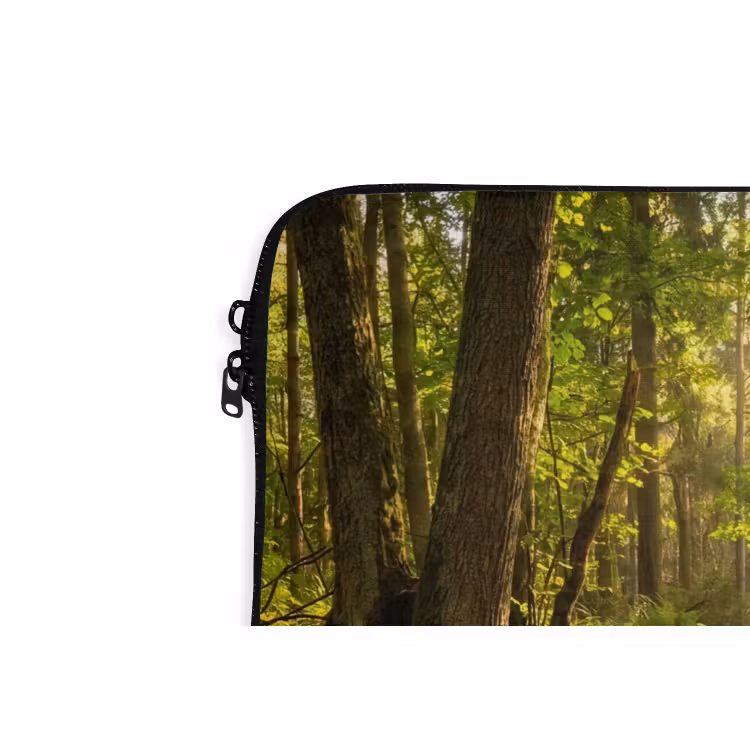 Laptophoes - Bos - Beek - Zonlicht - Natuur - Groen — 6