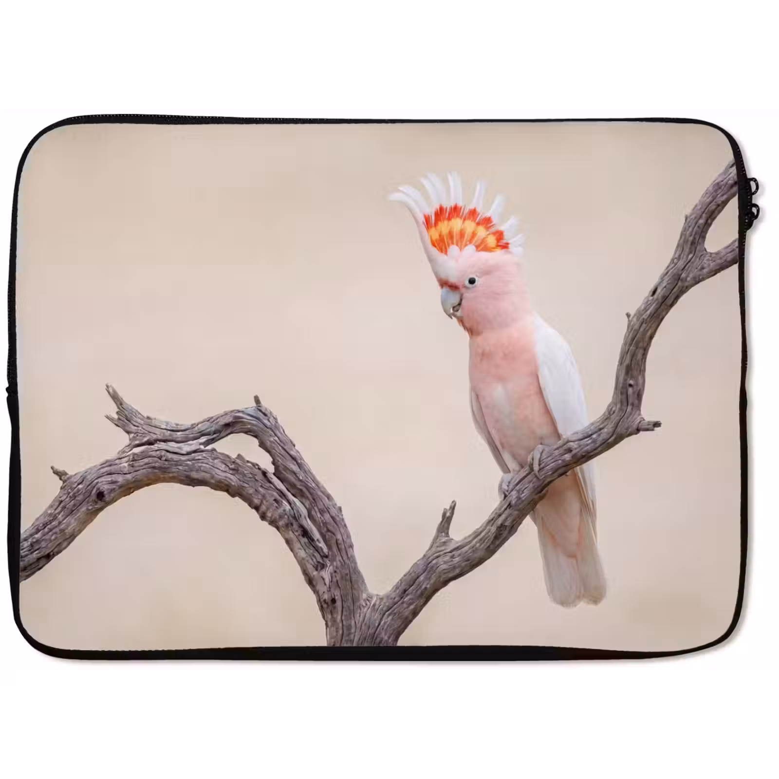 Laptophoes - Papagaai - Tak - Roze — 1