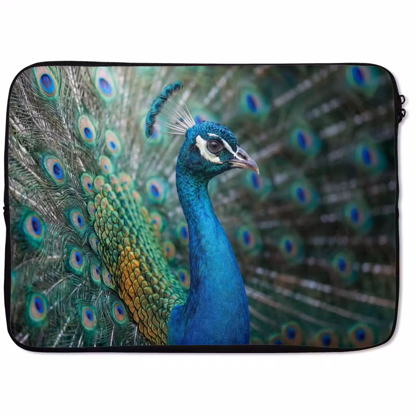 Laptophoes - Pauw - Veren - Blauw — 1
