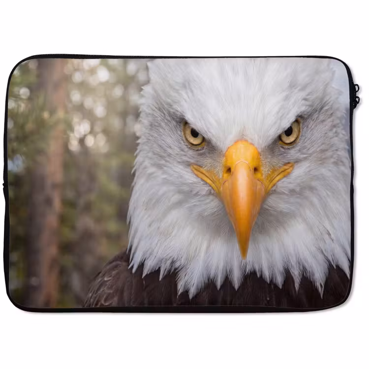 Laptophoes - Amerikaans - Zeearend - Portret - Geel — 1