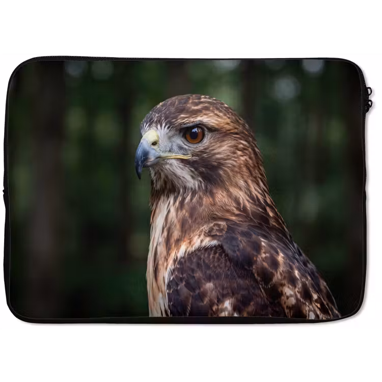 Laptophoes - Buizerd - Roofvogel - Natuur - Bruin — 1