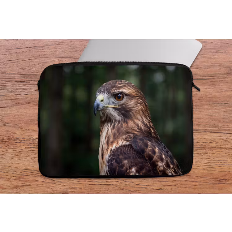 Laptophoes - Buizerd - Roofvogel - Natuur - Bruin — 2