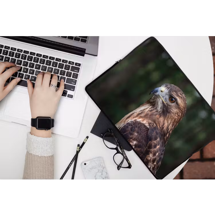 Laptophoes - Buizerd - Roofvogel - Natuur - Bruin — 3