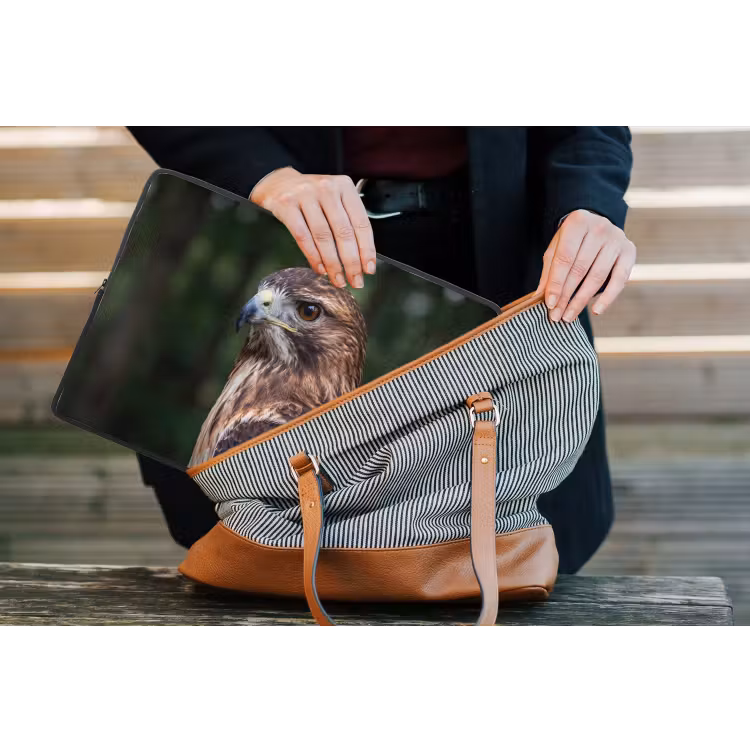 Laptophoes - Buizerd - Roofvogel - Natuur - Bruin — 4