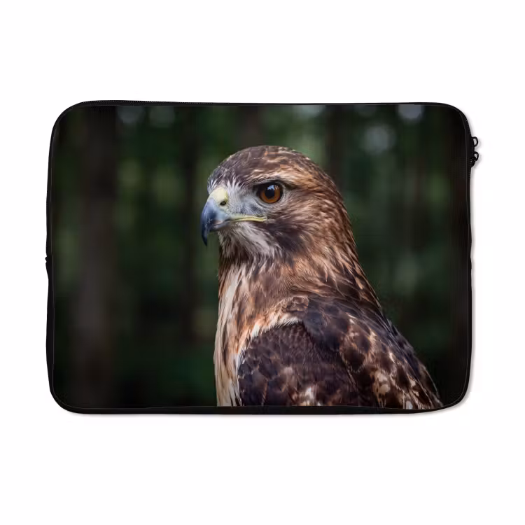 Laptophoes - Buizerd - Roofvogel - Natuur - Bruin — 5