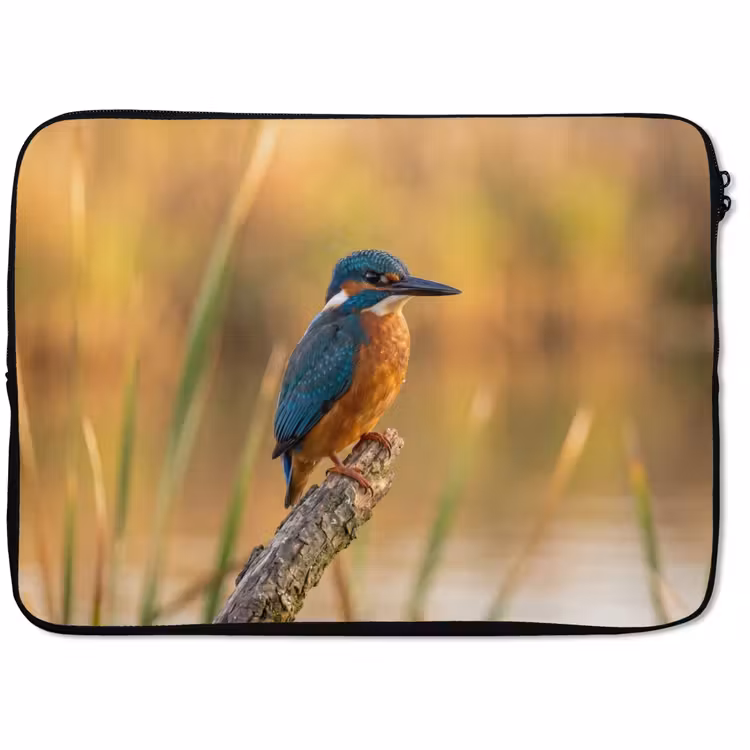 Laptophoes - IJsvogel - Tak - Water - Kleurrijk - Levendig — 1