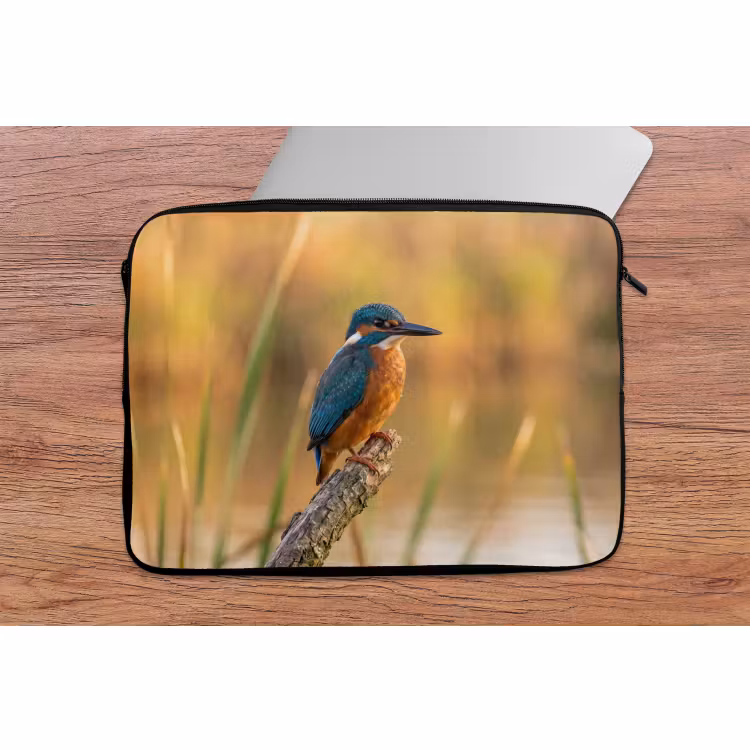 Laptophoes - IJsvogel - Tak - Water - Kleurrijk - Levendig — 2